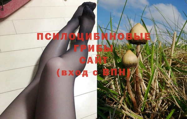 марихуана Сосновоборск