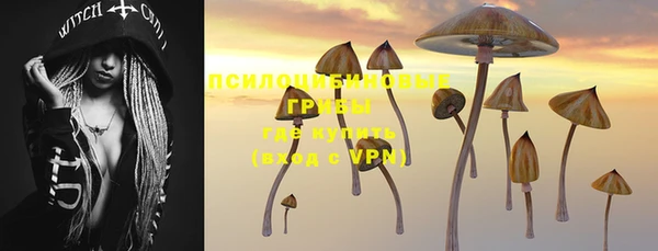 тгк Балахна
