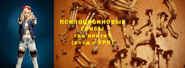 PSILOCYBIN Баксан